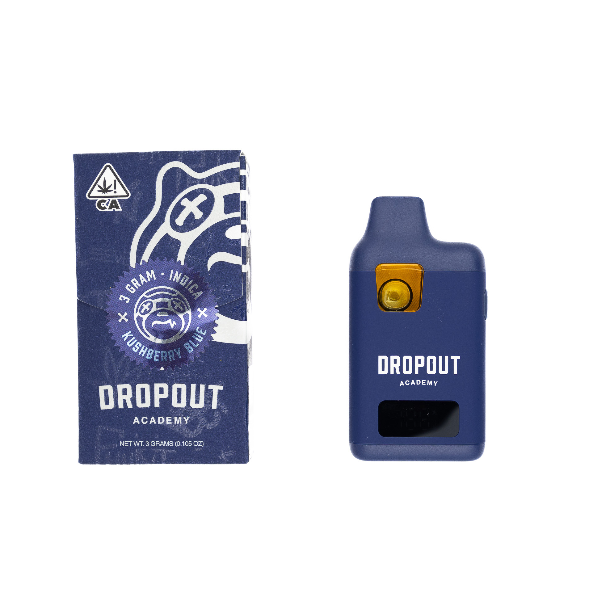DROPOUT_ACADEMY_E2_80_93_DISPO